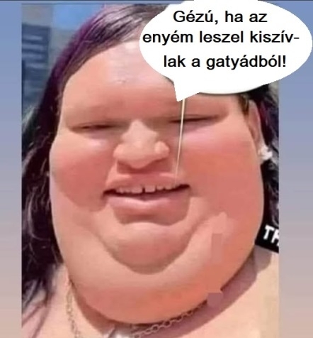 Napiszar - Társkereső rovat