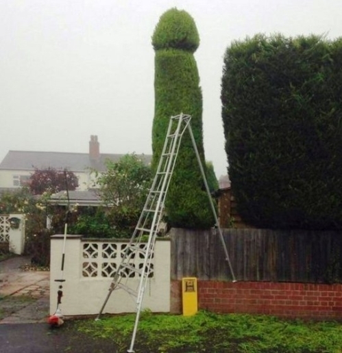 Te Józsi! Összevesztél tegnap a kertésszel?