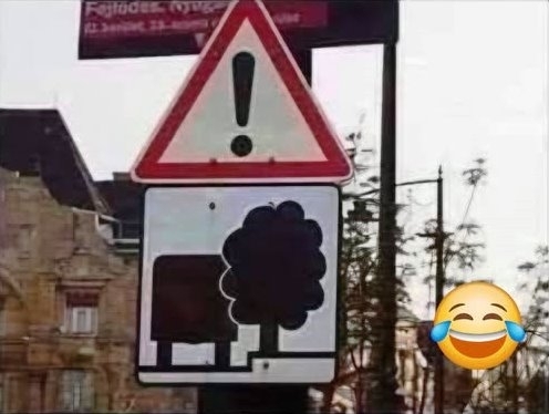 Vigyázat! A járdát oroszlánok nyalogatják!