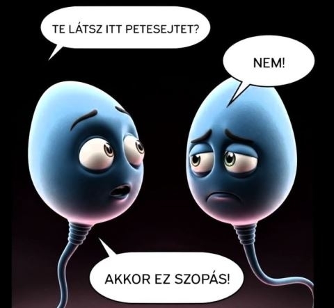 Két sperma beszélget