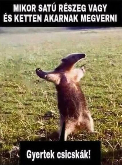 Vasárnap hajnali emlékek