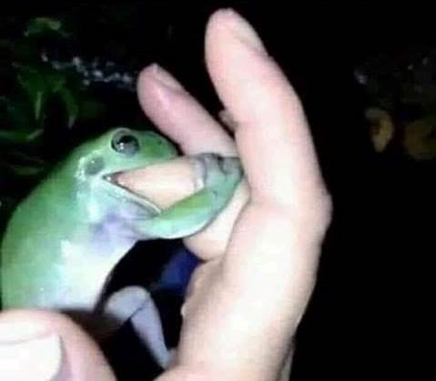 Íme az elvarázsolt királylány