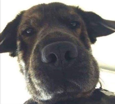 Amikor véletlen megnyitod az előlapi kamerát