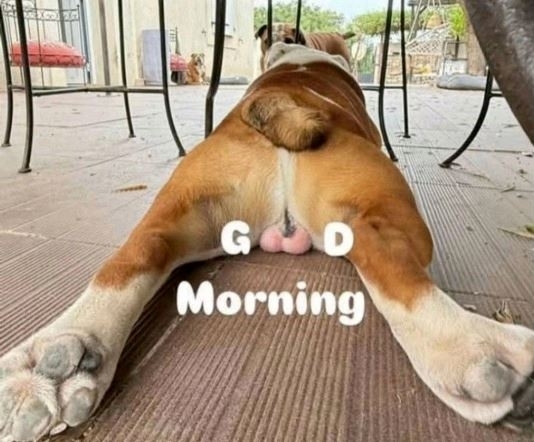 Ma Folti köszönti az oldal látogatóit