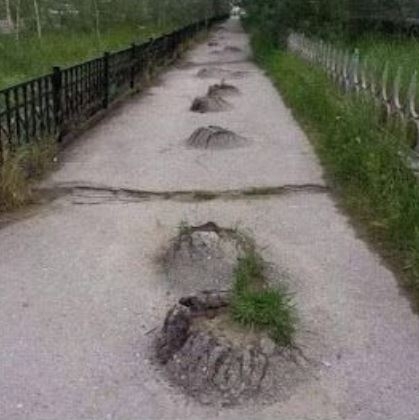 Amikor egy vakond bepiál, és elkezd vagánykodni