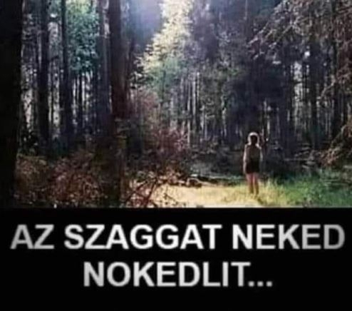 Ha valakinek fontos vagy,