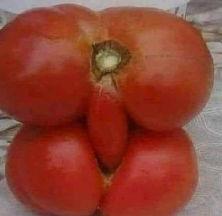 Ma kopogás nélkül nyitottam ki a hűtőt