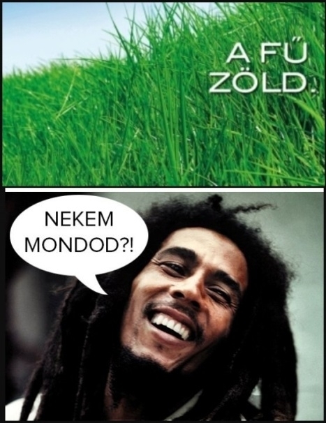 Napi Bob Marley