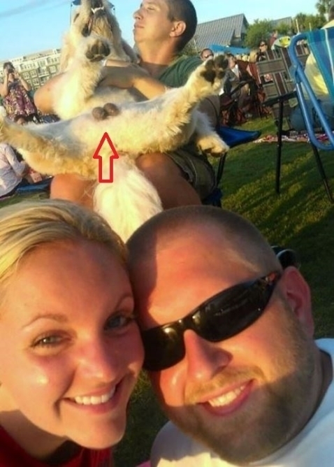 Ütős kis kép lett