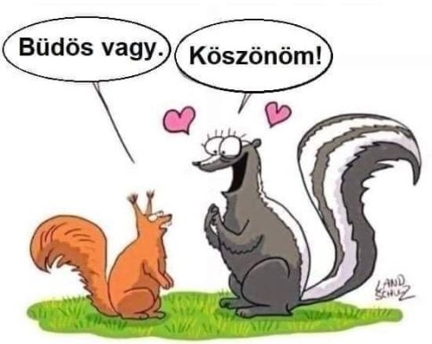 Néhány őszinte szó a világon a legnagyobb érték