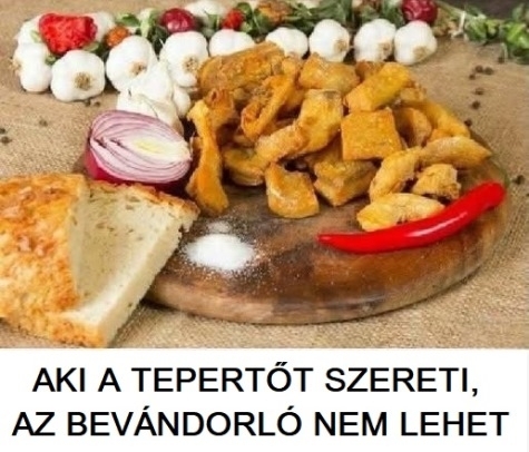 Napi igazságosztó