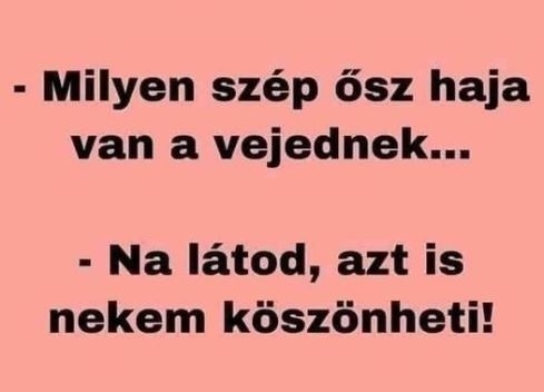 Két anyós beszélget