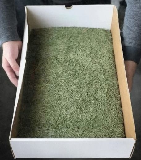 Megjött az IKEA-ból a karácsonyfa