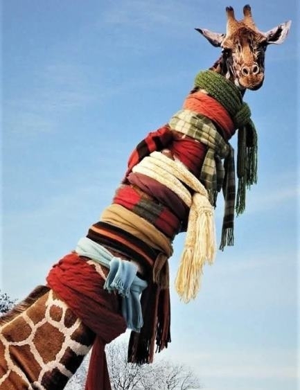 A telet nem neki találták ki