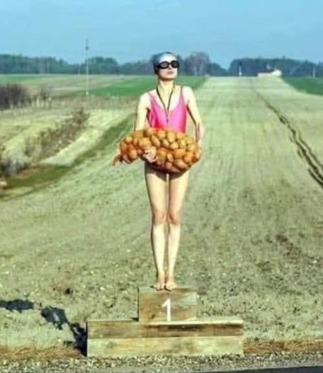 Megnyerte a TSZ olimpiát