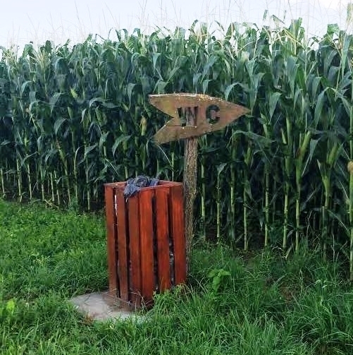 Itt a természet lágy ölén tudsz könnyíteni magadon