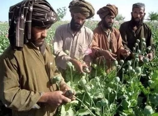 Már készül a bejgli