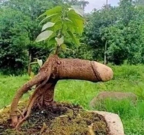 Vicces kedvében volt a természet