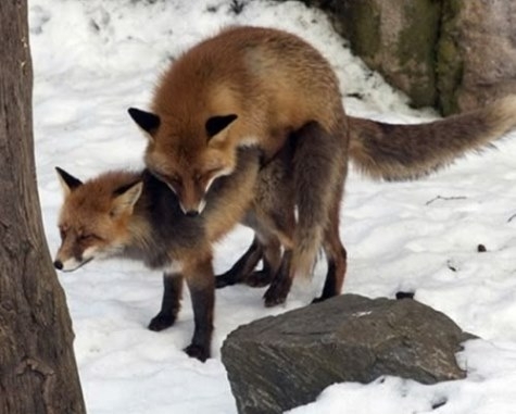 Meghúzták a ravaszt