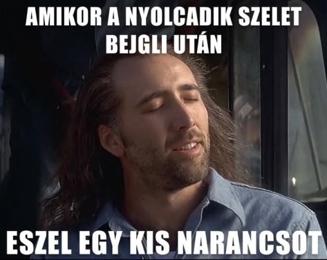 Az ünnepi túlzások felboríthatják a bélflóra egyensúlyát