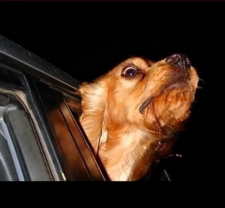 Amikor egy 2 órás autóúton, a haverod már az első kilométeren befingik