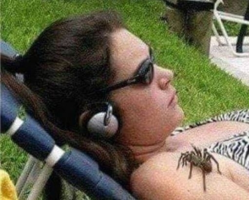 Szerintem itt hamarosan lesz tánc is a zenéhez!