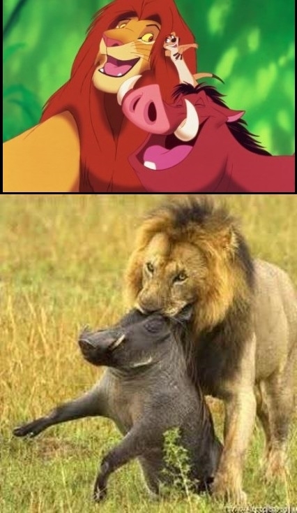 Az egész gyerekkorom egy hazugság volt