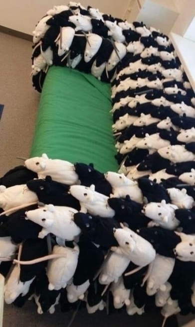 Beraknád a nappalidba?