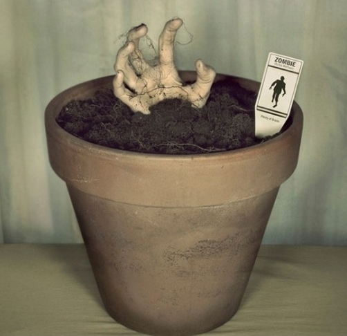 Egy kissé bizarr tipp