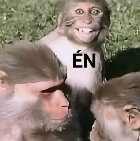 Mikor már így is elég a nagy feszkó