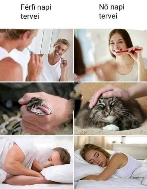 Manapság egyre gyakoribb a szingli életmód