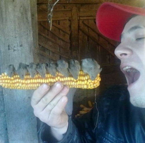 Jó étvágyat hozzá, tesó!