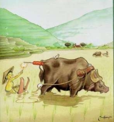 Vízisí - Kínai verzió