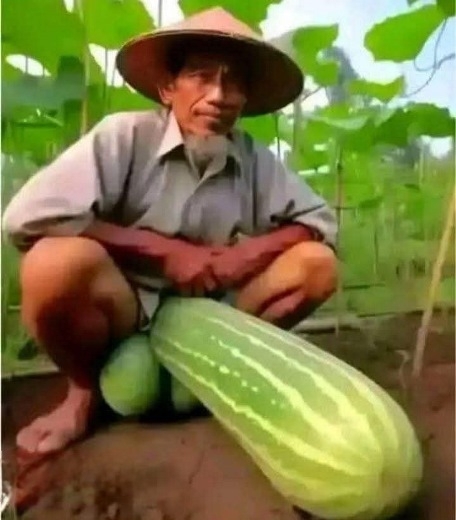 Ezzel a fotóval csajozik a vén kujon