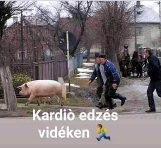 A kardió edzés legfőbb előnyei 