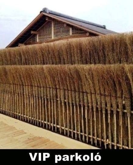 Nemzetközi anyóstalálkozót tartottak