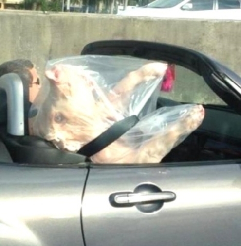 Fuvarban a szállító