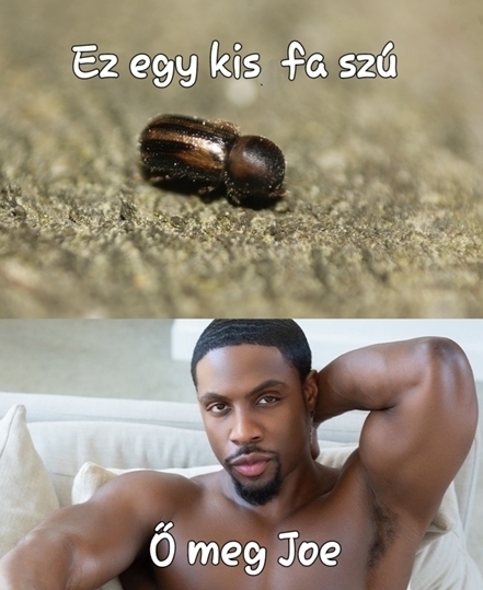 Vasárnapi agyzsibbasztó