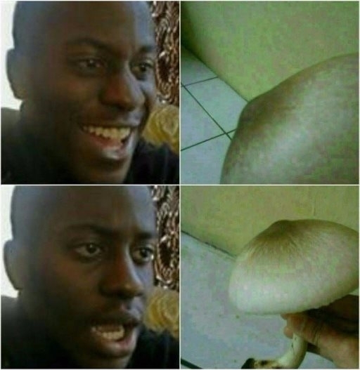 Hétköznapi csalódások című rovatunkat látjátok