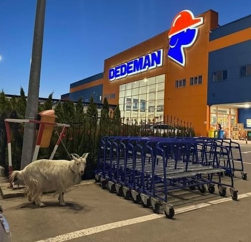 Eközben Romániában