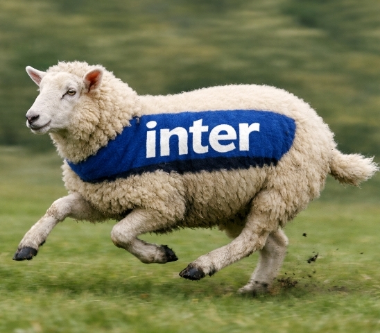 Nem vagyok újságíró, de készítettem egy gyors interjuht 🙂 