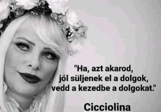 Napi bölcs - Stájer Ilona