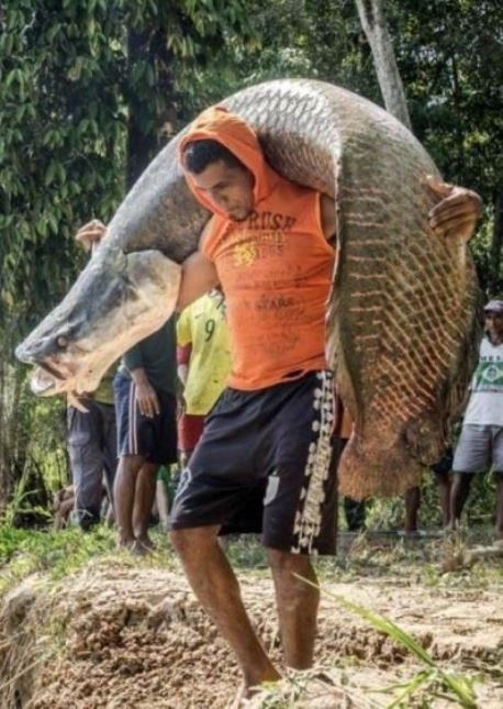 Ez ám az igazi jófogás