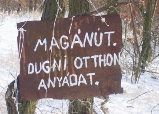 Kedves ember lehet a tulajdonos