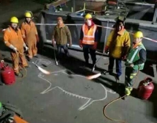 Kimentek a pasik németbe melózni, de hiányzott nekik az itthoni disznóvágás hangulata