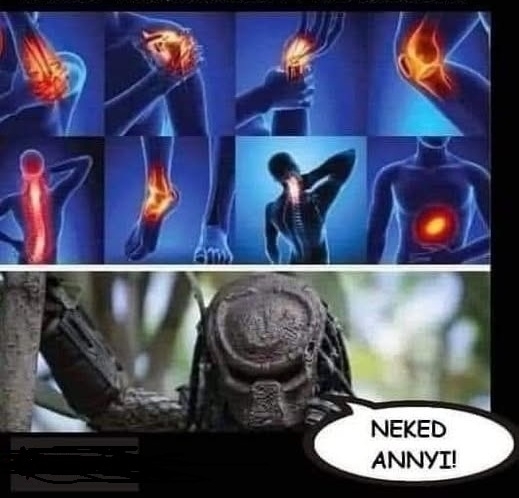 Amit a Predátor lát, miután 10 percet hajkurászott az erdőben