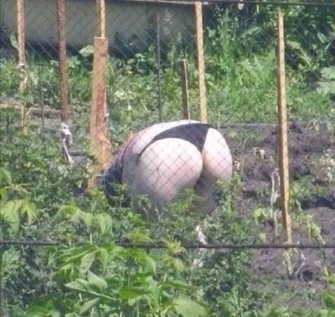 Hamarosan ez a kép fogadja majd az embert a magyar kiskertek környékén