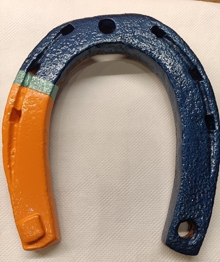 Választott az ország