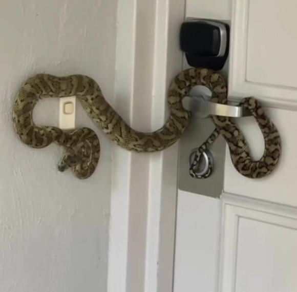 Nem mindig jó külföldön lakni