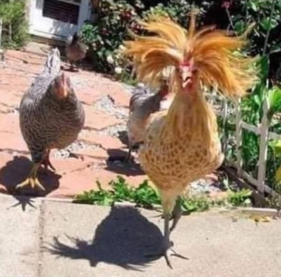 Amikor az újgazdag naccsága hazalátogat a szülőfalujába